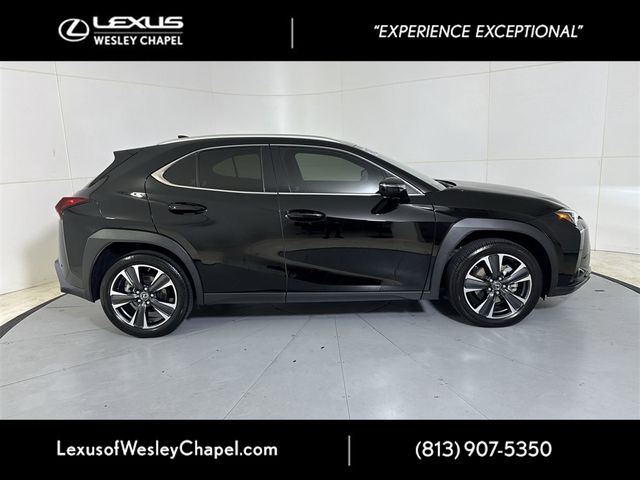 2024 Lexus UX 250h