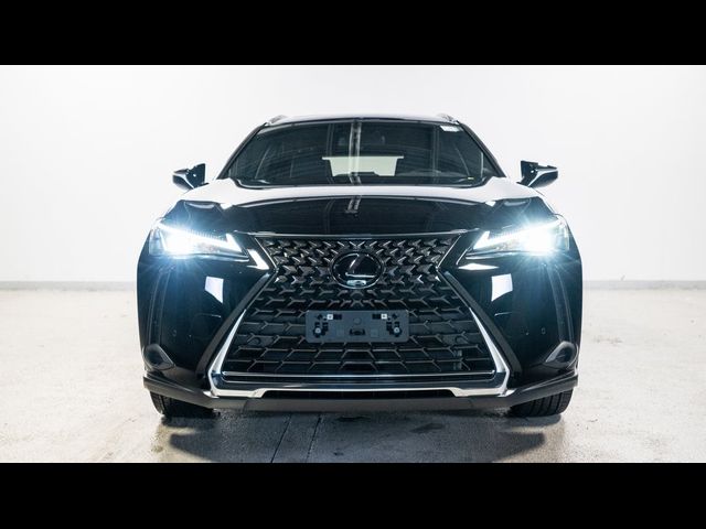 2024 Lexus UX 250h