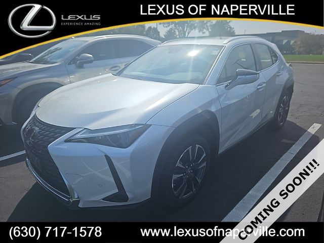 2024 Lexus UX 250h