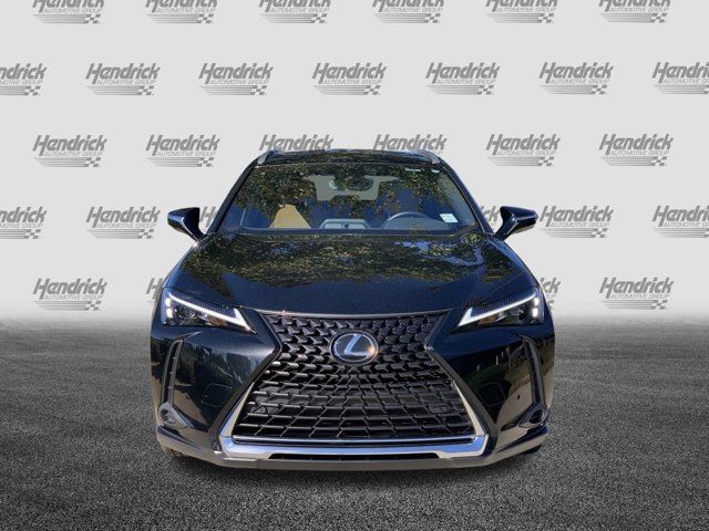 2024 Lexus UX UX 250h Premium