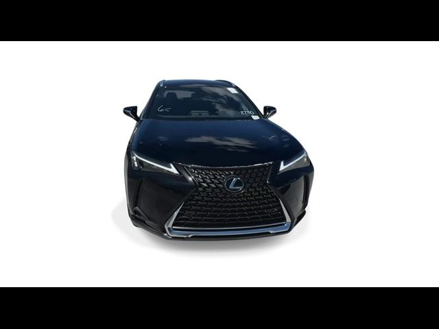 2024 Lexus UX UX 250h Premium