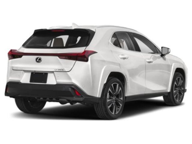 2024 Lexus UX UX 250h Premium