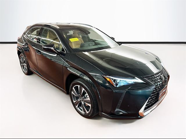 2024 Lexus UX UX 250h Premium