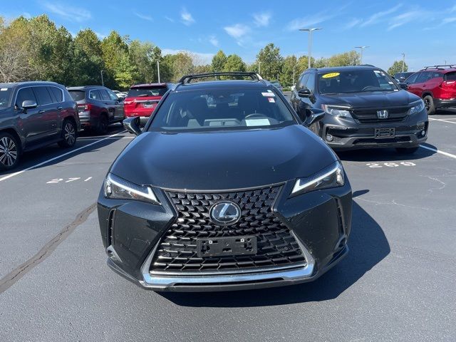 2024 Lexus UX UX 250h Premium