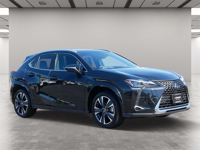 2024 Lexus UX UX 250h Premium