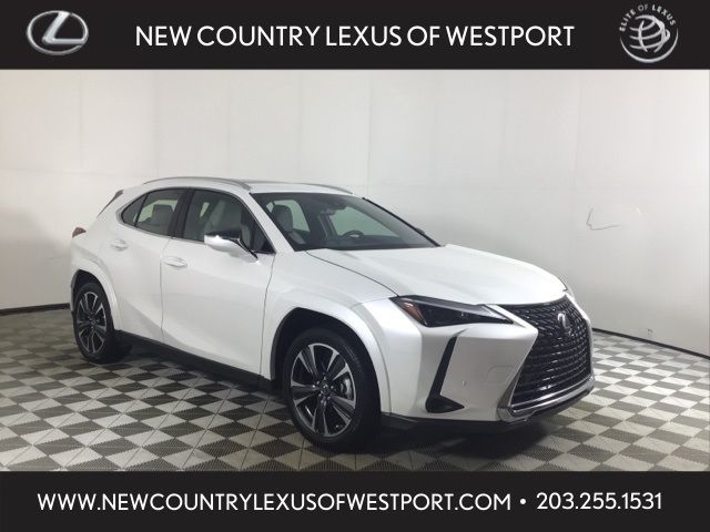 2024 Lexus UX UX 250h Premium