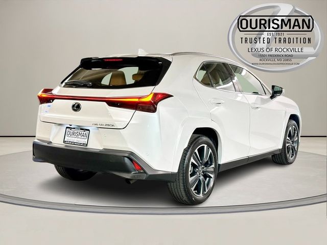 2024 Lexus UX UX 250h Premium