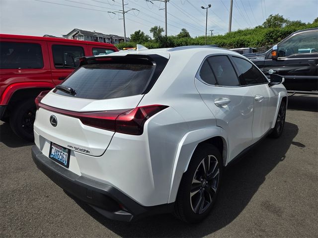 Trunk Ledge | Lexus UX 250h LUXURY 2020