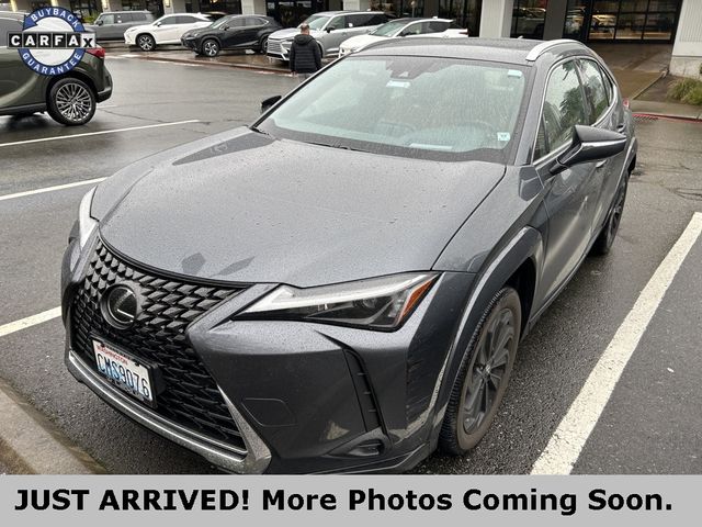 2024 Lexus UX UX 250h Premium