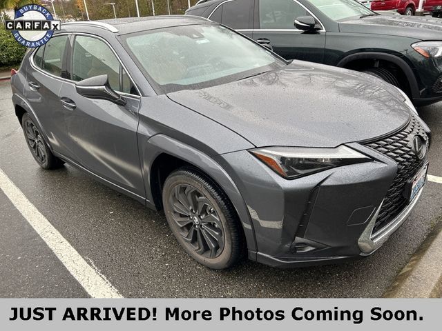 2024 Lexus UX UX 250h Premium