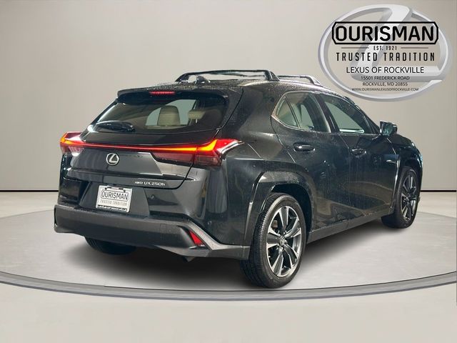 2024 Lexus UX UX 250h Premium
