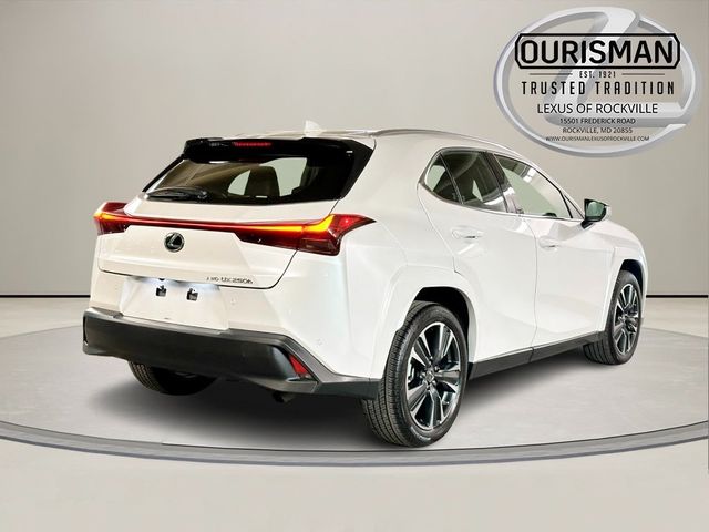 2024 Lexus UX UX 250h Premium