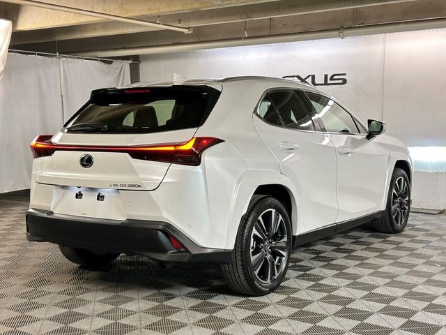 2024 Lexus UX UX 250h Premium