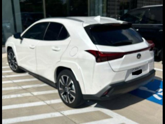 2024 Lexus UX UX 250h Premium