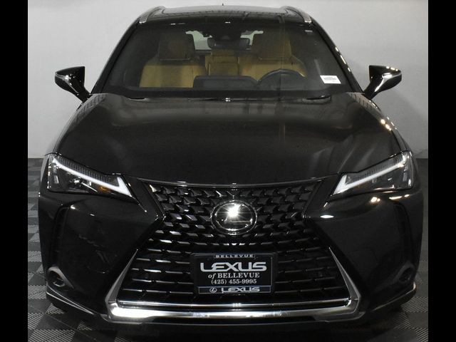 2024 Lexus UX UX 250h Premium