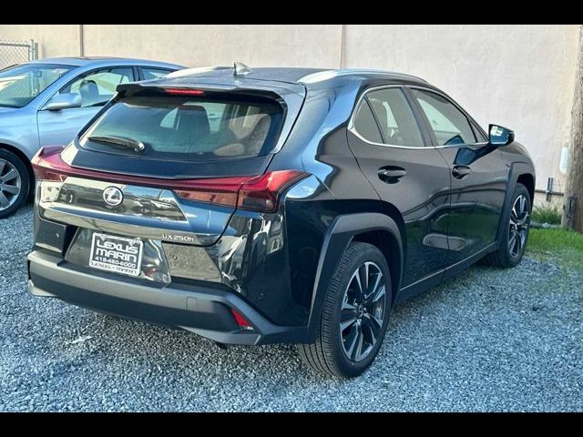 2024 Lexus UX 250h