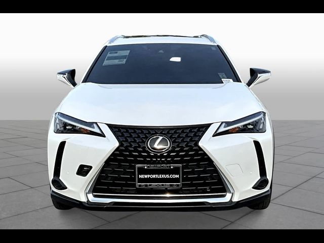 2024 Lexus UX 250h