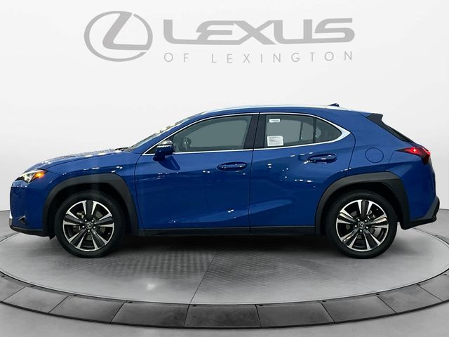 2024 Lexus UX 250h