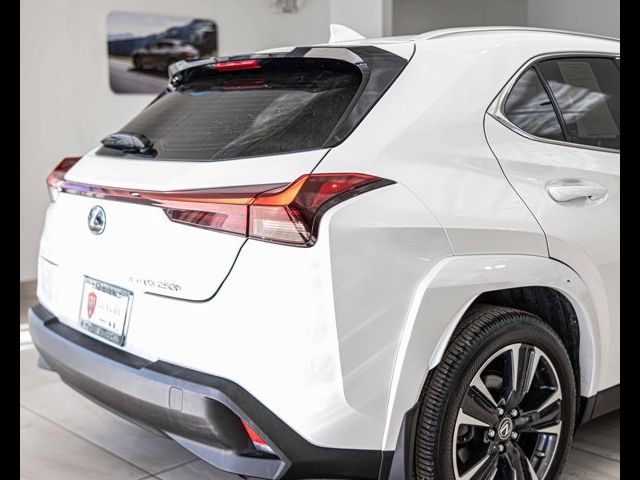 2024 Lexus UX UX 250h Premium