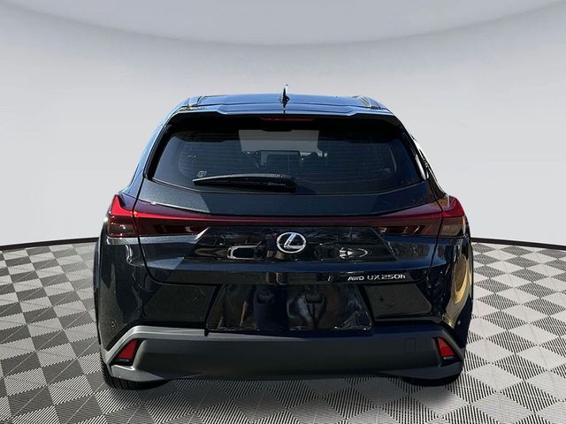 2024 Lexus UX UX 250h Premium