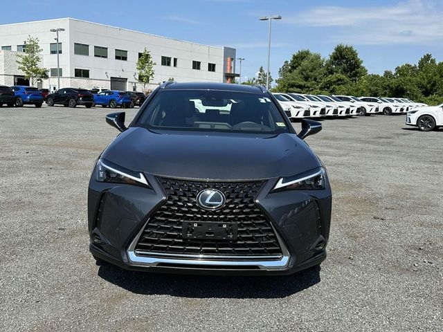 2024 Lexus UX UX 250h Premium