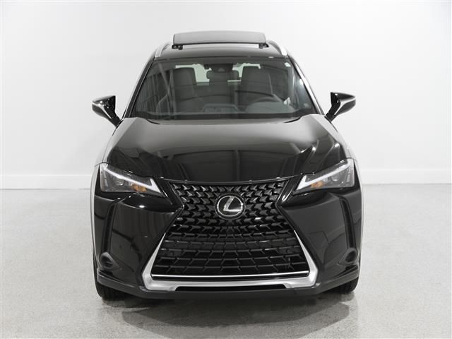 2024 Lexus UX 250h