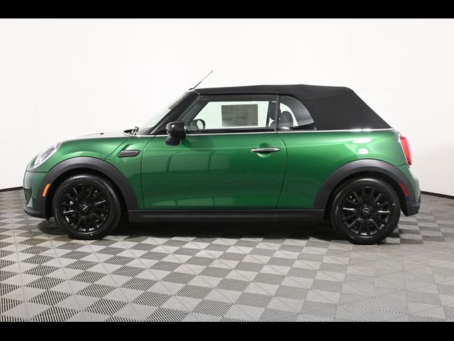 2024 MINI Cooper Convertible Base