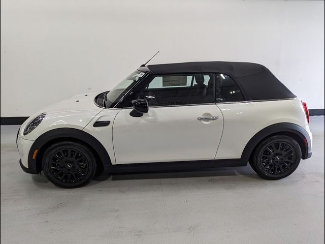 2024 MINI Cooper Convertible Base