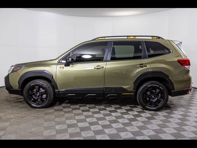 2024 Subaru Forester Wilderness
