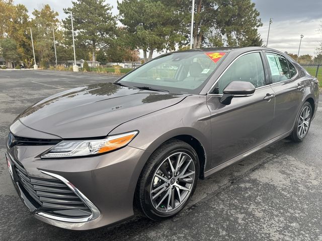 2024 Toyota Camry Hybrid XLE