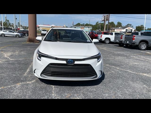 2024 Toyota Corolla Hybrid XLE