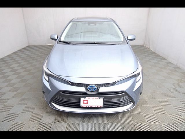 2024 Toyota Corolla Hybrid XLE