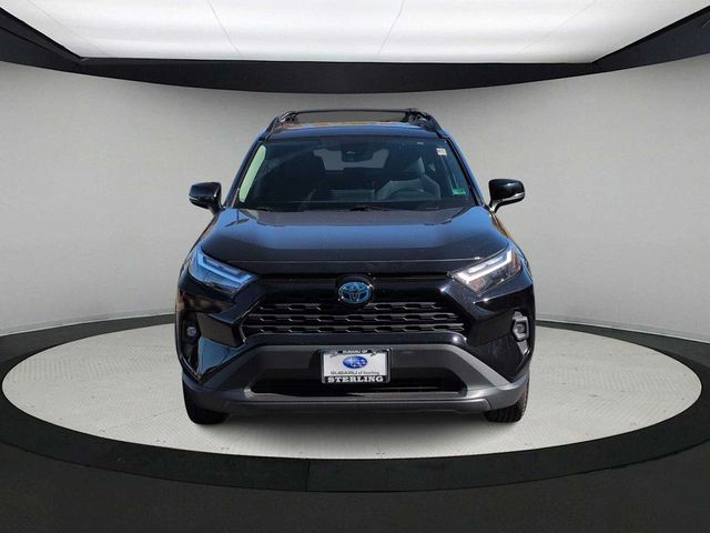 2024 Toyota RAV4 Hybrid Woodland
