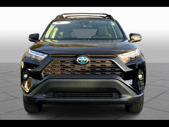 2024 Toyota RAV4 Hybrid Woodland