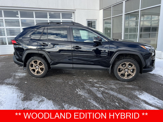 2024 Toyota RAV4 Hybrid Woodland