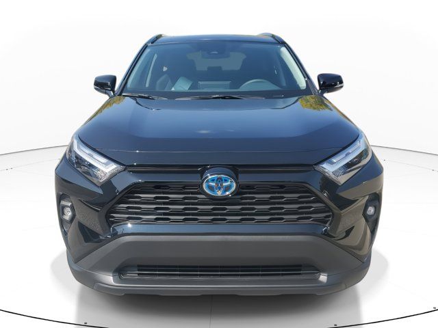 2024 Toyota RAV4 Hybrid XLE Premium