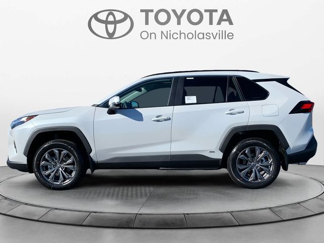 2024 Toyota RAV4 Hybrid XLE Premium