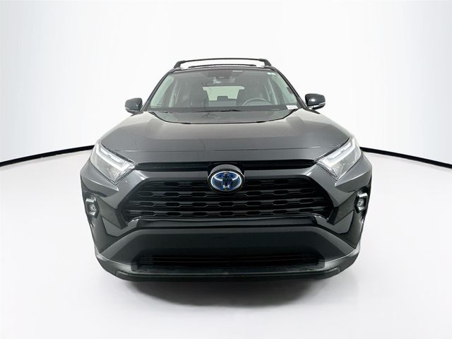 2024 Toyota RAV4 Hybrid XLE Premium