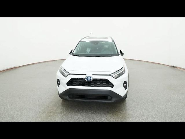 2024 Toyota RAV4 Hybrid XLE Premium