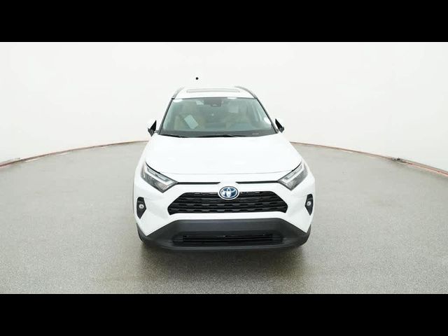 2024 Toyota RAV4 Hybrid XLE Premium