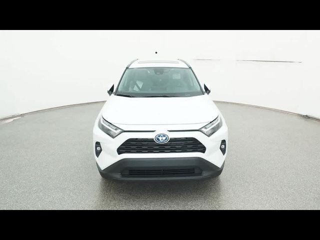 2024 Toyota RAV4 Hybrid XLE Premium