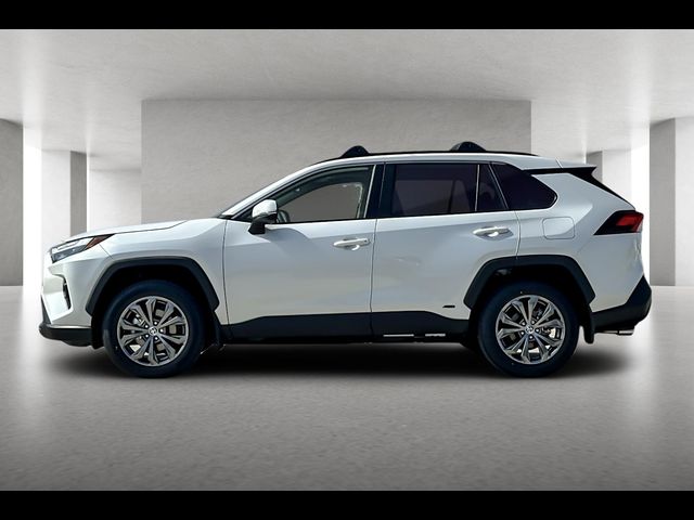 2024 Toyota RAV4 Hybrid XLE Premium