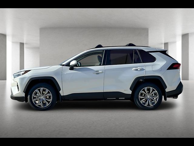 2024 Toyota RAV4 Hybrid XLE Premium