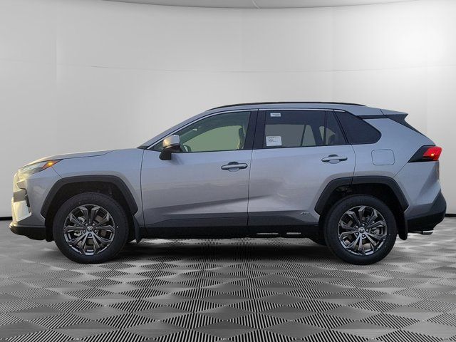 2024 Toyota RAV4 Hybrid XLE Premium