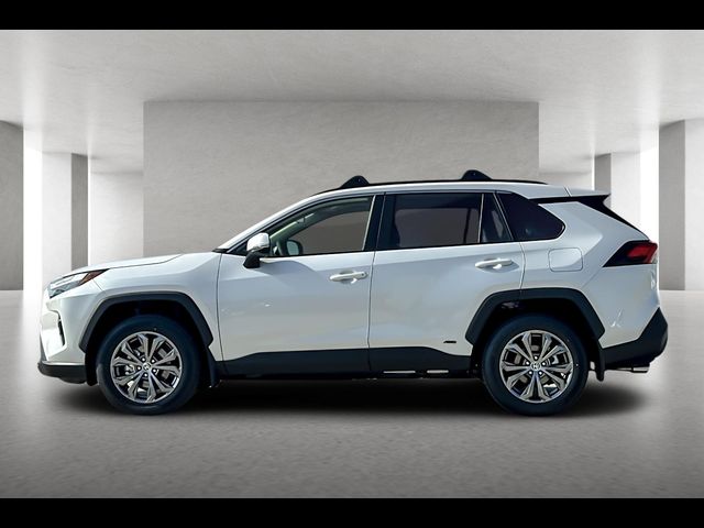 2024 Toyota RAV4 Hybrid XLE Premium