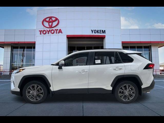 2024 Toyota RAV4 Hybrid XLE Premium