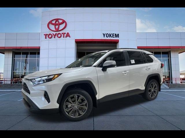 2024 Toyota RAV4 Hybrid XLE Premium