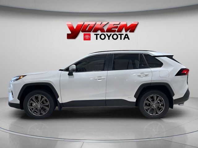 2024 Toyota RAV4 Hybrid XLE Premium