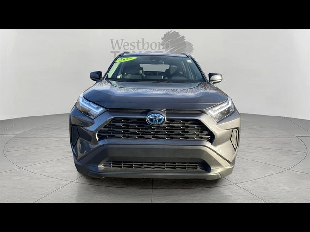 2024 Toyota RAV4 Hybrid LE