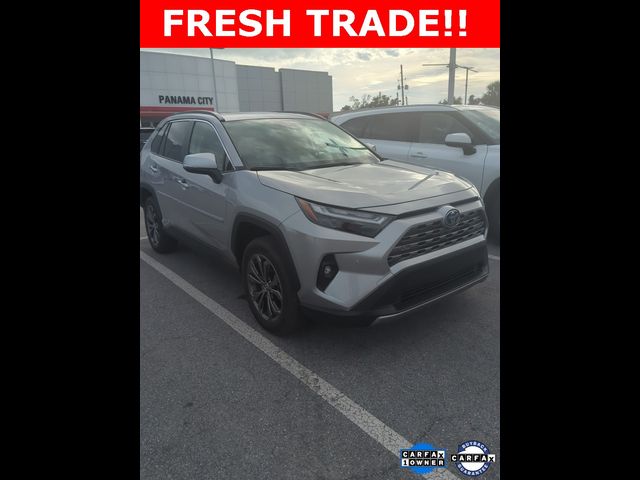 2024 Toyota RAV4 Hybrid Limited